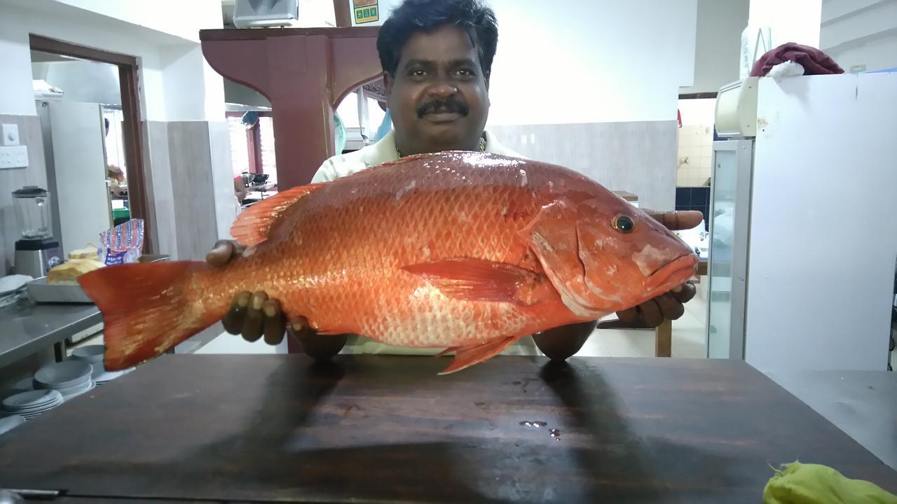 Pahalage Guesthouse Beruwala Bagian luar foto